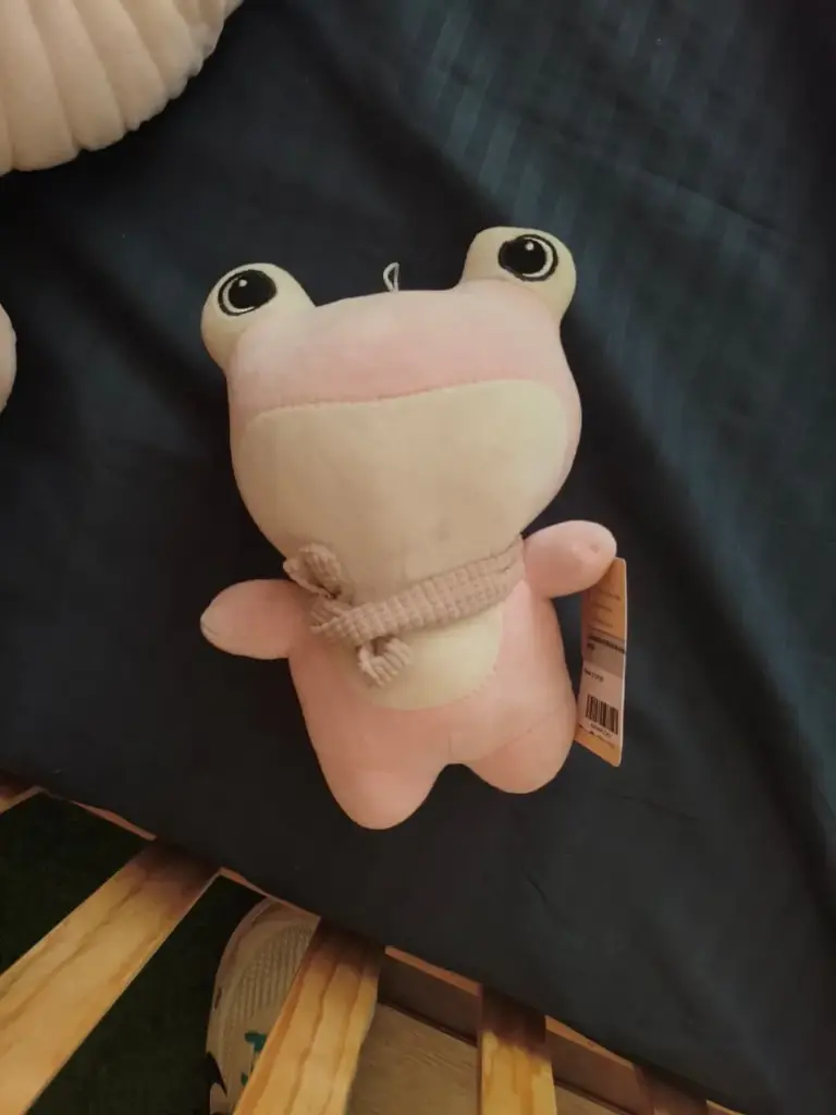PELUCHE RANA ROSA